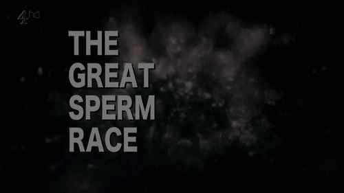 Великие гонки спермы / The Great Sperm Race (2009)
