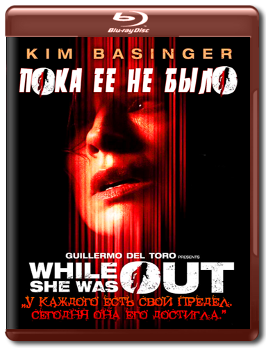 Пока её не было / While She Was Out (2008) HDRip