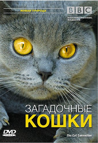 BBC: Загадочные кошки / BBC: The Cat Connection (2002) DVDRip