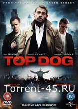 Самый крутой / Top Dog (2014) DVDRip | datynet